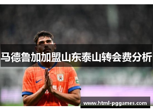 马德鲁加加盟山东泰山转会费分析