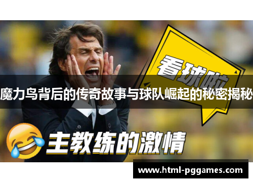 魔力鸟背后的传奇故事与球队崛起的秘密揭秘